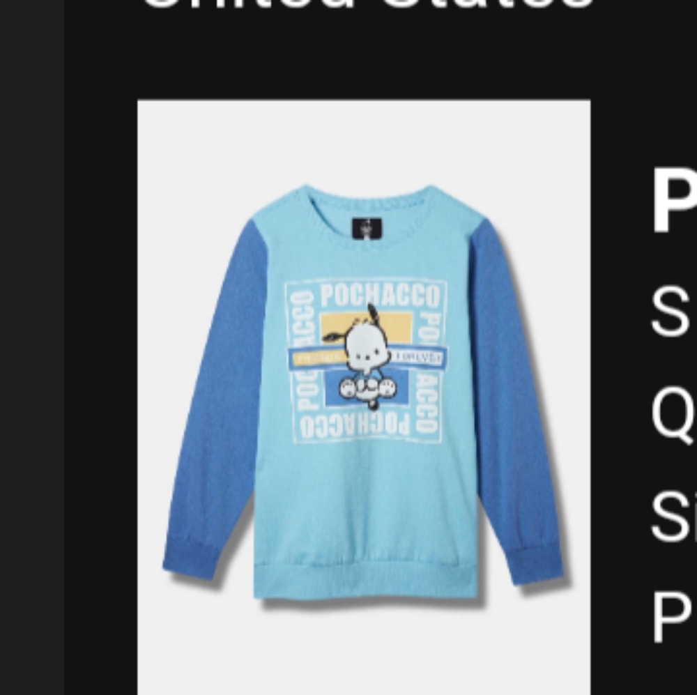 Torrid Pochacco sweatshirt